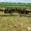 john-deere-1630-image-6