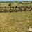 john-deere-rm-image-2