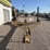 1996-butler-pole-trailer-image-3