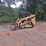 caterpillar-249d3-image-1