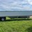 1995-wilson-grain-trailer-image-6