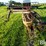 new-holland-56b-image-8