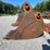 #57-•-hensley-x290-bucket-image-3