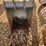 24"-5-tooth-bucket-image-1