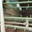 john-deere-125-image-17