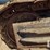timberpro-tl735b-image-51