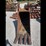 #57-•-hensley-x290-bucket-image-1
