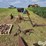massey-harris-pony-image-8