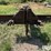 bison-nvhl300xhd-image-2