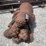 #71-•-lot-71-image-1