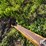 ashland-61d-image-9