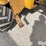 willmar-wrangler-image-18