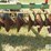 john-deere-1630-image-20