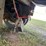 2018-great-dane-trailer-image-35