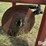 elston-ga700-image-10