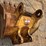 24"-backhoe-bucket-image-5