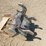 john-deere-12-image-5