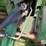 1992-john-deere-9500-image-15