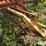 new-holland-258-image-15
