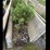 #106-•-8ft-concrete-j-feed-bunks-image-1