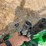 john-deere-15-image-14