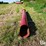 case-ih-8230-image-5