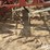 international-150-image-9