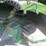 1998-john-deere-9610-image-19