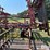 wil-rich-quad-5-image-20