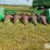john-deere-643-image-2