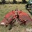 hesston-3600-image-2
