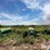 john-deere-8300-image-4