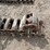 caterpillar-262-image-2
