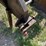 bison-nvhl300xhd-image-9