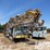 cardwell-d-image-2