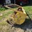 new-holland-939a4-image-8