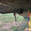 1996-timpte-super-hopper-image-11