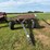 homemade-bale-trailer-image-2