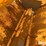 simonsen-n-image-19