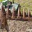 new-holland-450-image-19