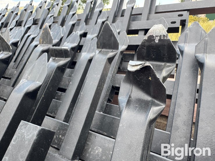 18'-bi-parting-decorative-gates-w/fencing-image-16