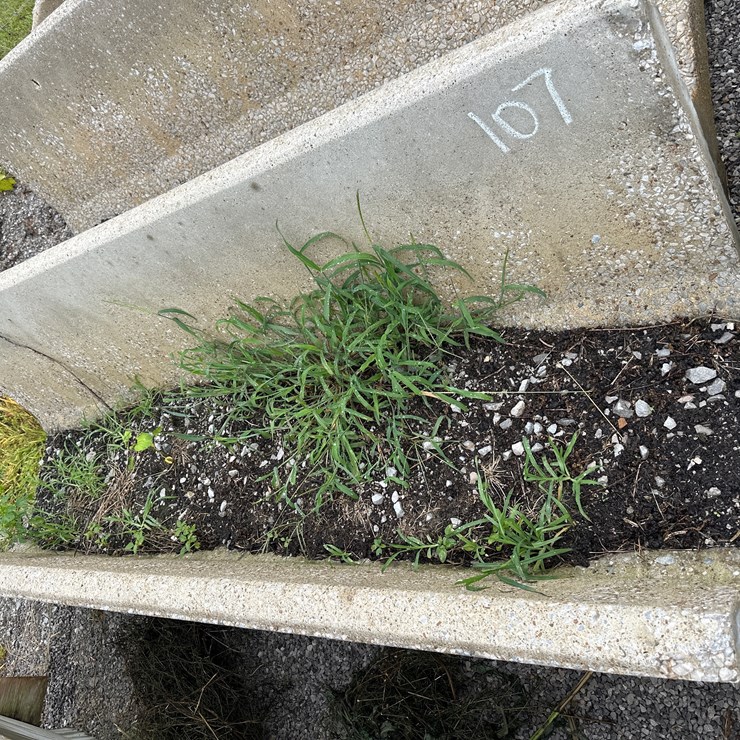 #107 • 8ft Concrete J Feed Bunks