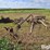 massey-harris-pony-image-6