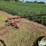 new-holland-450-image-1
