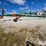 houle-42-image-4