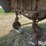 1951-fruehauf-trailer-image-13