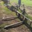3pt-2-prong-bale-mover-image-3
