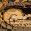 john-deere-350-image-31