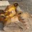 24"-backhoe-bucket-image-3