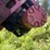 #2533-•-ustc-110-35e-side-o-matic-3-stage-boom-for-parts-image-19